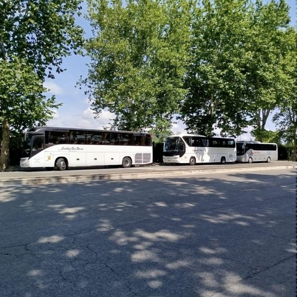 Transfer Services