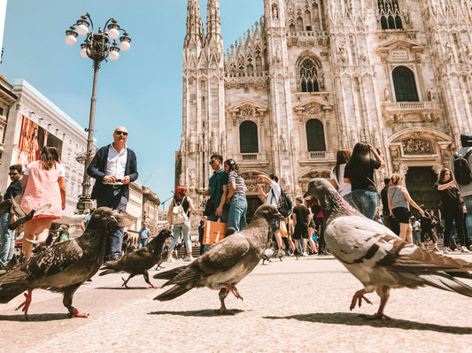 Discover Milan in 3 Days