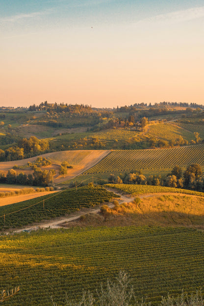 Tuscany-Pisa-San Gimignano in 2 Days Vacation