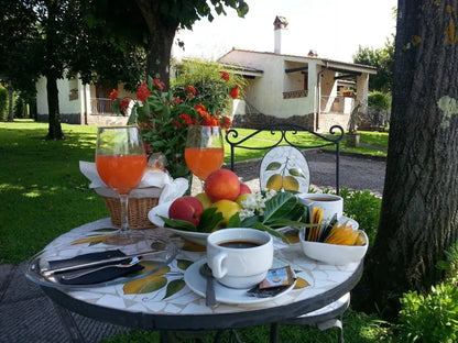 Lakeside Hospitality near Rome