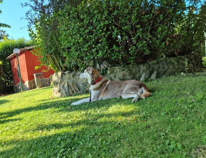 Lakeside Hospitality near Rome