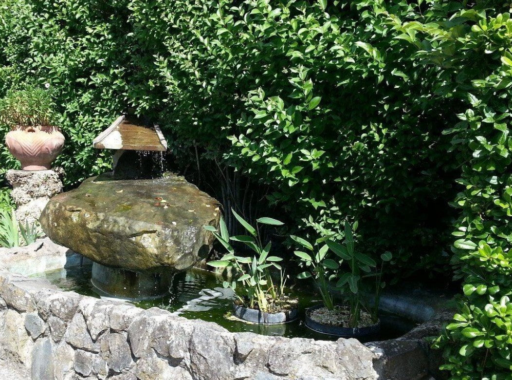 Lakeside Hospitality near Rome