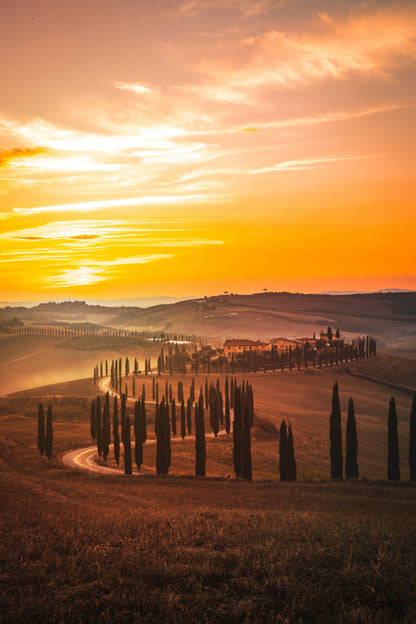 Tuscany-Pisa-San Gimignano in 2 Days Vacation